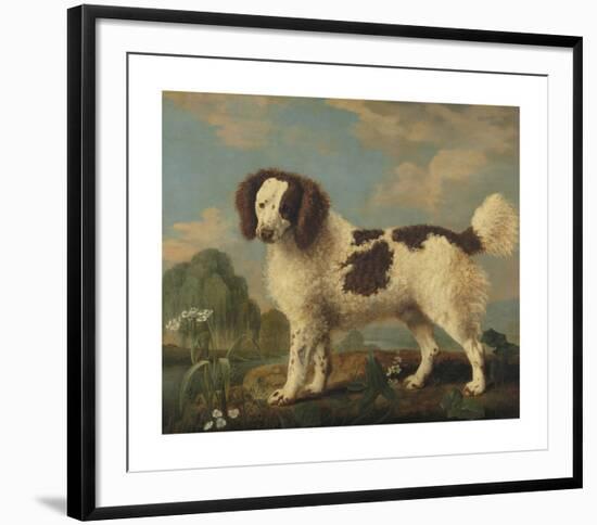 Brown and White Norfolk Spaniel-George Stubbs-Framed Premium Giclee Print