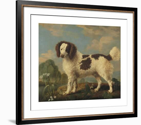 Brown and White Norfolk Spaniel-George Stubbs-Framed Premium Giclee Print