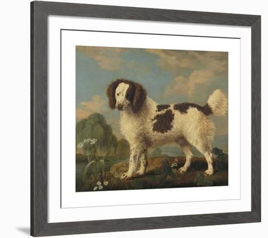 Brown and White Norfolk Spaniel-George Stubbs-Framed Premium Giclee Print