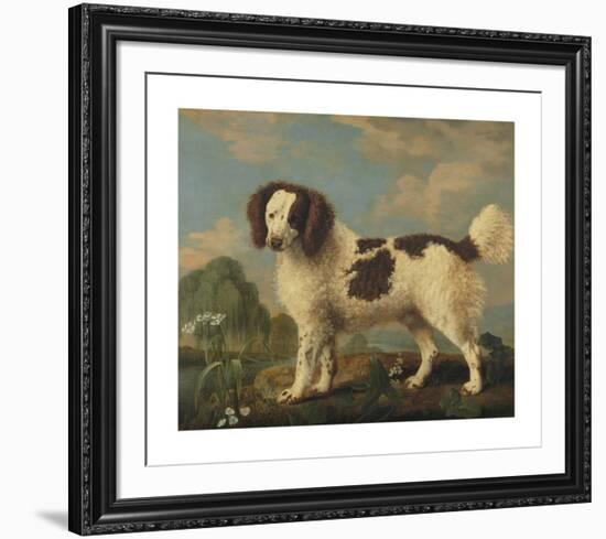 Brown and White Norfolk Spaniel-George Stubbs-Framed Premium Giclee Print