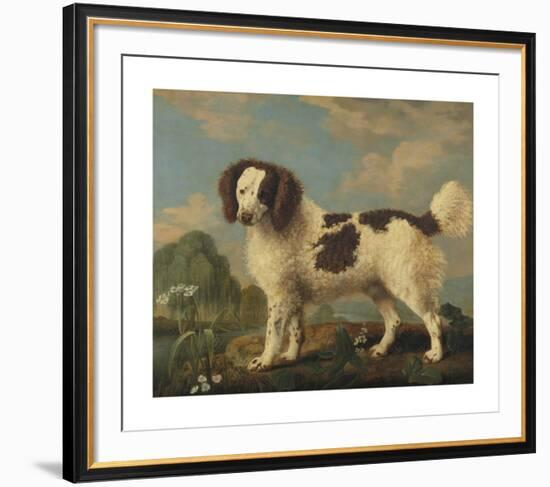 Brown and White Norfolk Spaniel-George Stubbs-Framed Premium Giclee Print