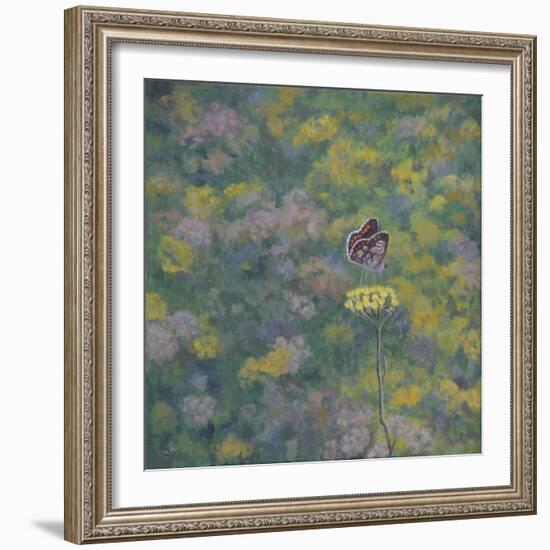 Brown Argus - After Photo by Sara Crow-Ruth Addinall-Framed Giclee Print