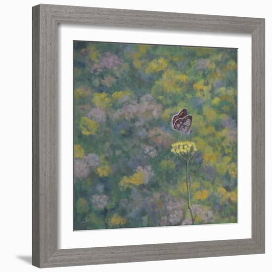 Brown Argus - After Photo by Sara Crow-Ruth Addinall-Framed Giclee Print