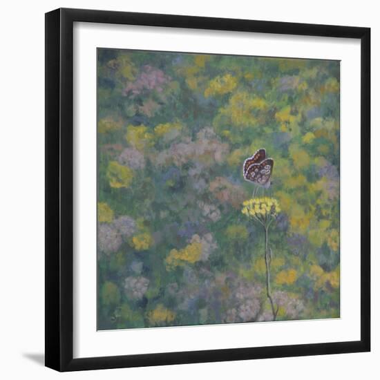 Brown Argus - After Photo by Sara Crow-Ruth Addinall-Framed Giclee Print