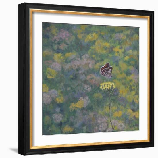 Brown Argus - After Photo by Sara Crow-Ruth Addinall-Framed Giclee Print