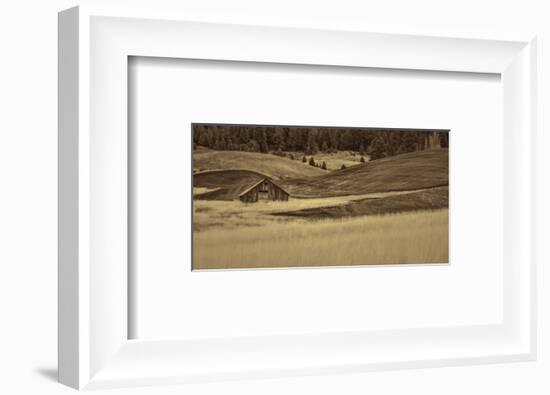 Brown Barn in the Blonde Gra-Don Schwartz-Framed Premium Giclee Print