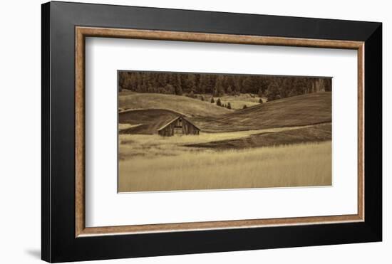 Brown Barn in the Blonde Gra-Don Schwartz-Framed Premium Giclee Print