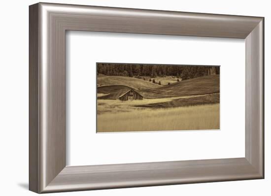 Brown Barn in the Blonde Gra-Don Schwartz-Framed Premium Giclee Print