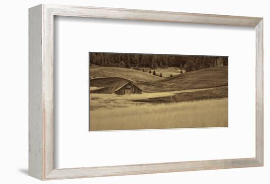 Brown Barn in the Blonde Gra-Don Schwartz-Framed Premium Giclee Print