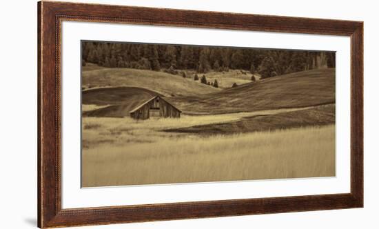 Brown Barn in the Blonde Gra-Don Schwartz-Framed Premium Giclee Print