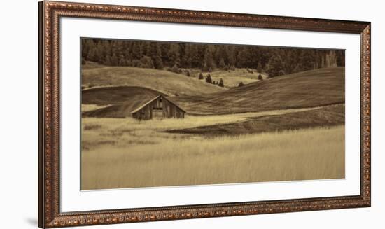 Brown Barn in the Blonde Gra-Don Schwartz-Framed Premium Giclee Print