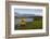 Brown Bear Along Stream at Hallo Bay in Katmai National Park-Paul Souders-Framed Photographic Print