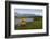 Brown Bear Along Stream at Hallo Bay in Katmai National Park-Paul Souders-Framed Photographic Print