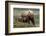 Brown Bear and Cubs II-Art Wolfe-Framed Photographic Print