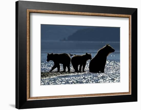 Brown Bear and Cubs, Katmai National Park, Alaska-Paul Souders-Framed Photographic Print