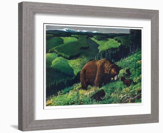 Brown Bear and Cubs-Fred Ludekens-Framed Giclee Print