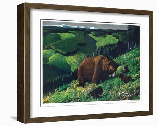Brown Bear and Cubs-Fred Ludekens-Framed Giclee Print