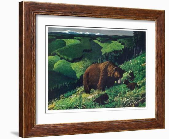 Brown Bear and Cubs-Fred Ludekens-Framed Giclee Print