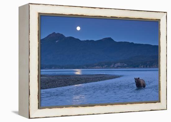 Brown Bear and Full Moon, Katmai National Park, Alaska-Paul Souders-Framed Premier Image Canvas