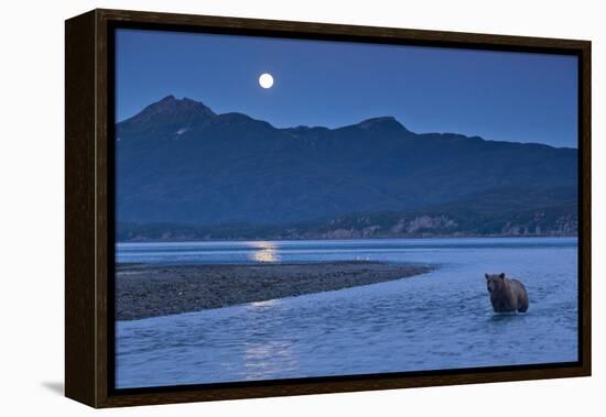 Brown Bear and Full Moon, Katmai National Park, Alaska-Paul Souders-Framed Premier Image Canvas