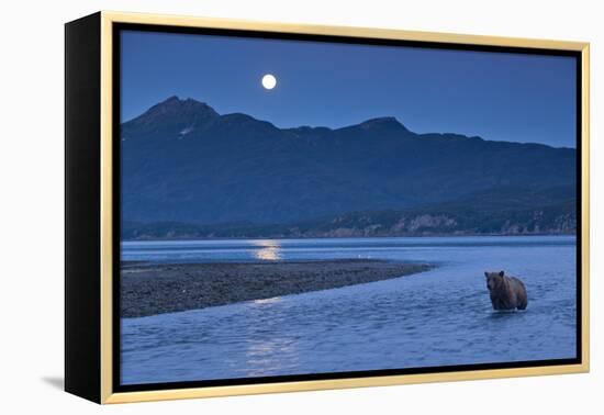 Brown Bear and Full Moon, Katmai National Park, Alaska-Paul Souders-Framed Premier Image Canvas