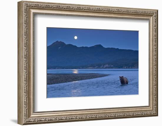 Brown Bear and Full Moon, Katmai National Park, Alaska-Paul Souders-Framed Photographic Print