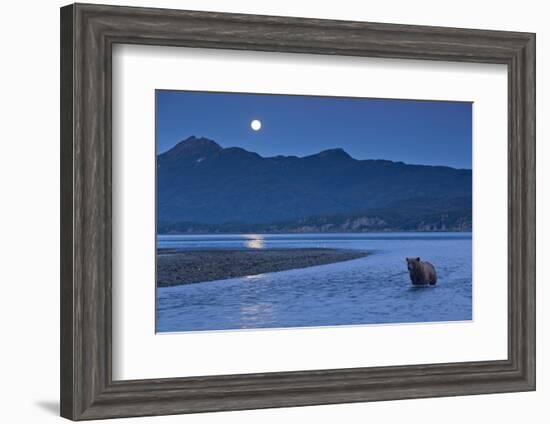 Brown Bear and Full Moon, Katmai National Park, Alaska-Paul Souders-Framed Photographic Print