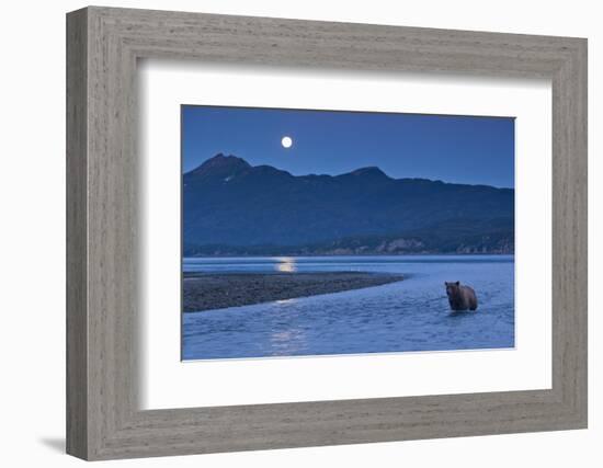 Brown Bear and Full Moon, Katmai National Park, Alaska-Paul Souders-Framed Photographic Print