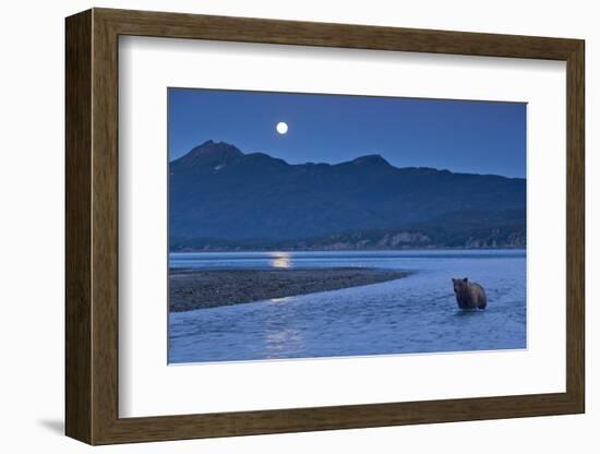 Brown Bear and Full Moon, Katmai National Park, Alaska-Paul Souders-Framed Photographic Print