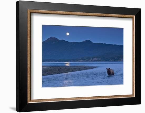 Brown Bear and Full Moon, Katmai National Park, Alaska-Paul Souders-Framed Photographic Print