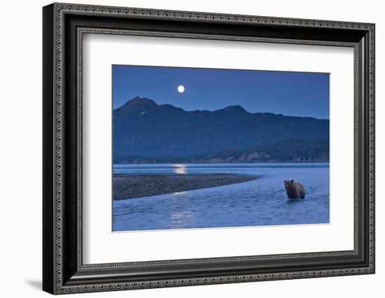 Brown Bear and Full Moon, Katmai National Park, Alaska-Paul Souders-Framed Photographic Print