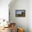 Brown Bear and Mountains, Katmai National Park, Alaska-Paul Souders-Framed Premier Image Canvas displayed on a wall