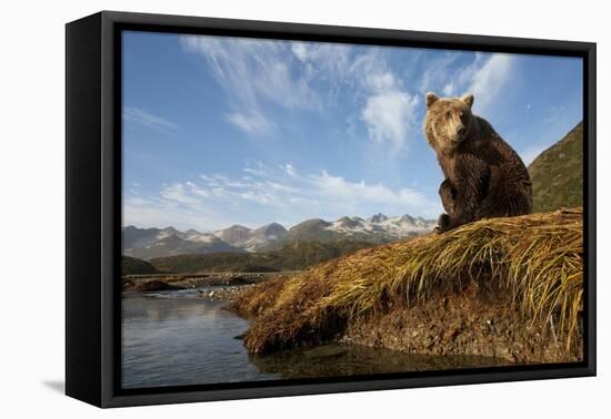 Brown Bear and Mountains, Katmai National Park, Alaska-Paul Souders-Framed Premier Image Canvas