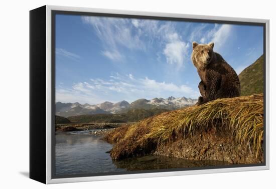 Brown Bear and Mountains, Katmai National Park, Alaska-Paul Souders-Framed Premier Image Canvas