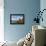 Brown Bear and Mountains, Katmai National Park, Alaska-null-Framed Premier Image Canvas displayed on a wall