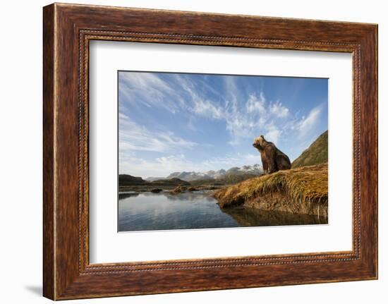 Brown Bear and Mountains, Katmai National Park, Alaska-null-Framed Photographic Print