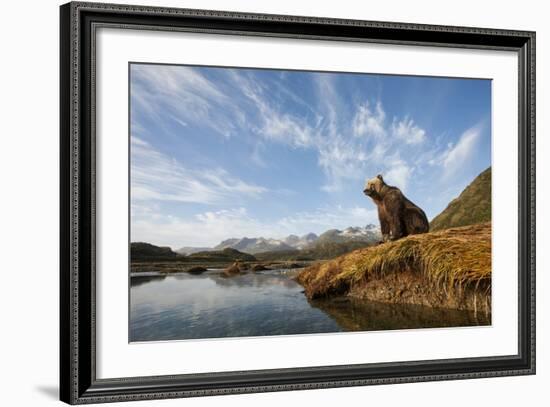 Brown Bear and Mountains, Katmai National Park, Alaska-null-Framed Photographic Print