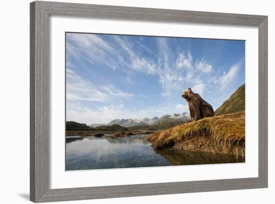 Brown Bear and Mountains, Katmai National Park, Alaska-null-Framed Photographic Print