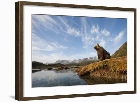 Brown Bear and Mountains, Katmai National Park, Alaska-null-Framed Photographic Print
