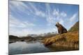 Photographic Print