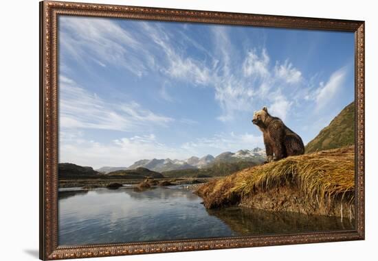 Brown Bear and Mountains, Katmai National Park, Alaska-null-Framed Photographic Print