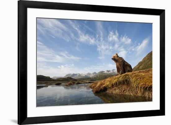 Brown Bear and Mountains, Katmai National Park, Alaska-null-Framed Photographic Print