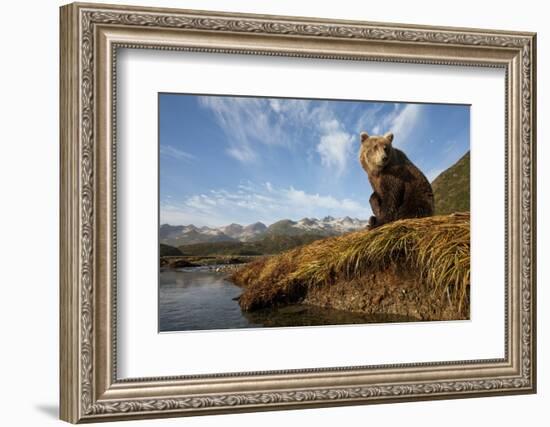 Brown Bear and Mountains, Katmai National Park, Alaska-Paul Souders-Framed Photographic Print