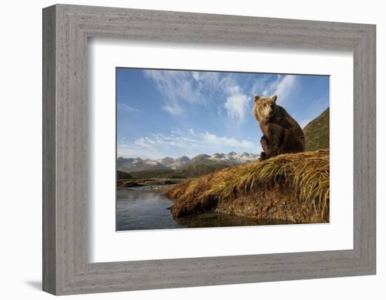 Brown Bear and Mountains, Katmai National Park, Alaska-Paul Souders-Framed Photographic Print