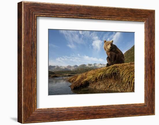 Brown Bear and Mountains, Katmai National Park, Alaska-Paul Souders-Framed Photographic Print