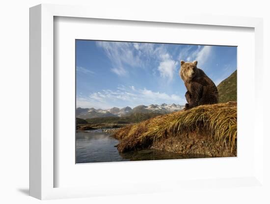 Brown Bear and Mountains, Katmai National Park, Alaska-Paul Souders-Framed Photographic Print