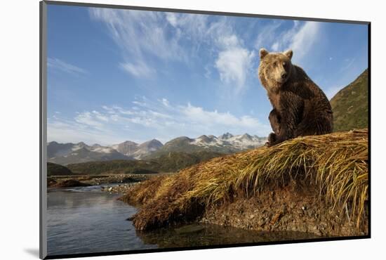 Brown Bear and Mountains, Katmai National Park, Alaska-Paul Souders-Mounted Photographic Print