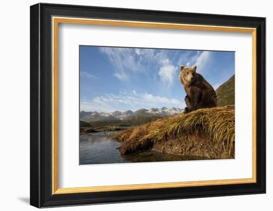 Brown Bear and Mountains, Katmai National Park, Alaska-Paul Souders-Framed Photographic Print