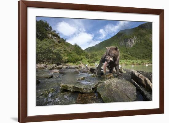 Brown Bear and Salmon, Katmai National Park, Alaska-Paul Souders-Framed Photographic Print