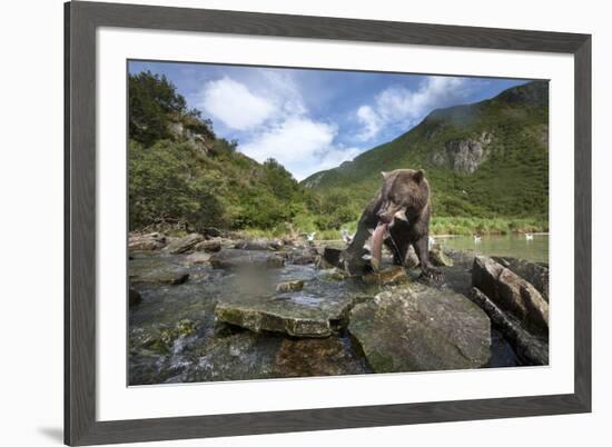 Brown Bear and Salmon, Katmai National Park, Alaska-Paul Souders-Framed Photographic Print